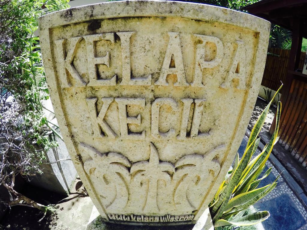 Kelapa Kecil Hotell Gili Trawangan Eksteriør bilde